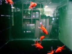 우리의 불행까지 사랑해