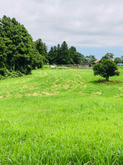 철학 (또는 고찰)