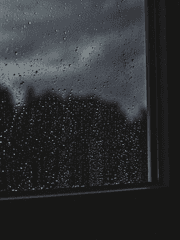 프로젝트 토너먼트