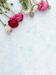 [루이에무] 조각글