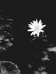 길이 끓어져도 달려나가자