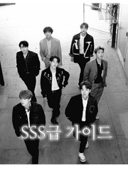 SSS급 가이드