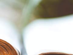 [사내명운]웨딩 홀리데이!