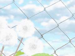 너의 청춘 한페이지.