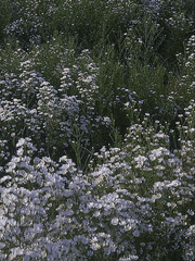 배우 단편 모음 