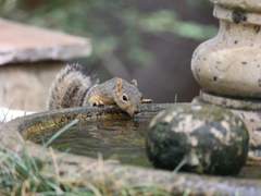 조그마한 편지지에 담은 마음