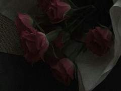 비록, 네가 바라지 않더라도.