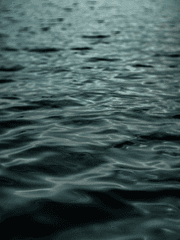 소포읍 연쇄 살인사건