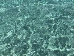 비누로 만든 교회