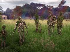 [탑건] 아이스매브루스터 서던리치au