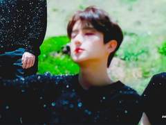 아니마 아니무스 5