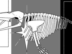고래 별 배경 화면