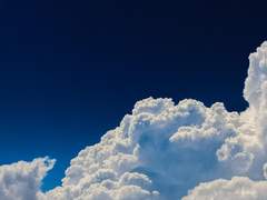 𝐅𝐥𝐨𝐫𝐞𝐧𝐭 𝐝𝐞 𝐎𝐫𝐭𝐞𝐠𝐚