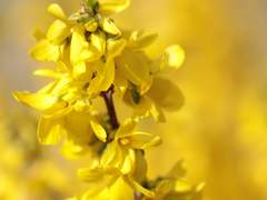 아직 이야기가 쓰여지지 않은