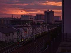 때론 짓궂은 다정함이라