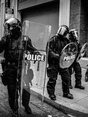 𝐖𝐢𝐥𝐝 𝐏𝐨𝐥𝐢𝐜𝐞 𝐒𝐭𝐨𝐫𝐲