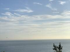 김형제는 오늘 1