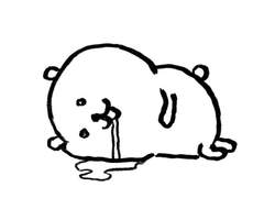 전두엽이 오해로 가득 채워진 만큼