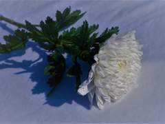 [검은태양][지혁제이]낮잠.