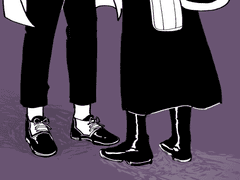 피가파우 하이드렌지아