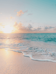 [원피스] 마녀는 잠 못 이루고