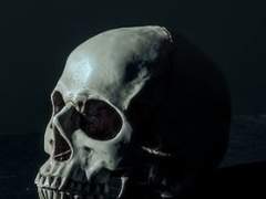 내가 죽으면 박제를 해줘.