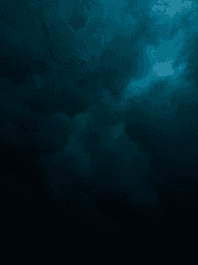 태풍이 지나간 자리