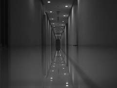 가든이가 알아서 다 할 거야, 가든이는 머리가 좋으니까. 가든이가 우리를 지켜줄 거야. 가든이는 강하니까. 가든이는 우리를 버리지 않을