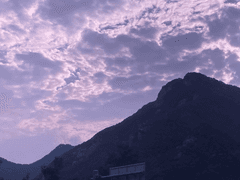 사실 이거 내 오너케에요