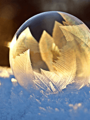 [프로필/공지] 다음을 기다리는 계절 사이의 공간