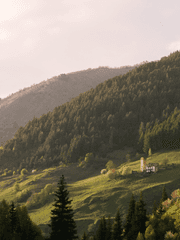 [프로필] 온 세상이 초록으로 물든 여름의 공간