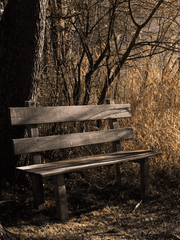 [프로필] 쓸쓸한 낙엽이 지는 가을의 공간