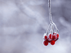 [2022.09] 시나브로 팀 3차 모집