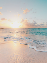 [아메리카노 엑소더스] 반아멜