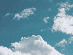 바람이 향하는 곳