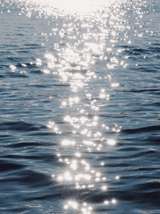 나를 나눠주겠다는 고백이야