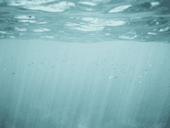 [청려문대] 저녁 산책