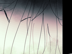 최후에 함께 선 히어로와 빌런들에게.