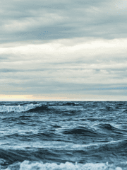 녹아흐르는 여름의 잔해