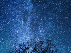 오늘도 살아서 다행이야.