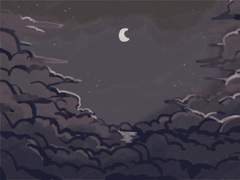 To. 체스터 쉬플리