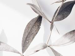 [사내명운]과열과 길어진 공백의 상관관계