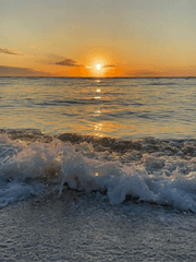 태양을 기다리며