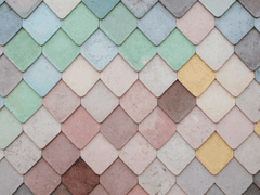 생존 후 열흘 이야기