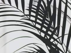 🔔 Do you need us?