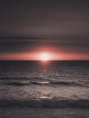 뱀파이어 아포칼립스