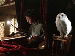 [해리드레] 구세주가 그의 앙숙과 CP를 실현시킨 건에 대하여