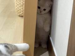 127막내 김여주 히스토리 EP.2