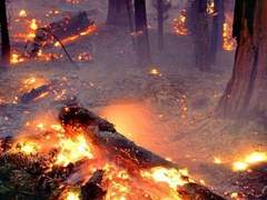 나는 겨울로 가고