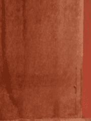 다시, 여기 (Renuiet) 